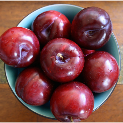 Methley plum Bob Wells.png