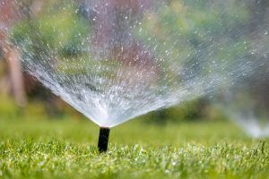 plastic-sprinkler-irrigating-grass-lawn-with-water-2021-12-27-17-42-20-utc-1-300x200.jpg