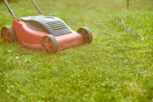 lawnmower-mows-the-lawn-at-home-garden-working-s-2022-02-01-00-48-47-utc-1-300x200.jpg