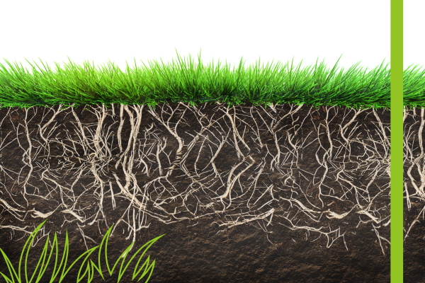Liquid Compost - 2.png
