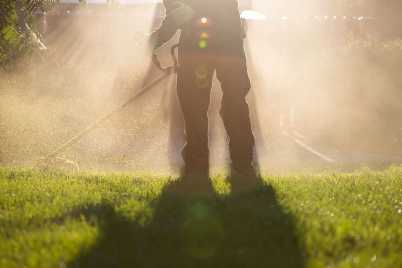 lawn-mover-on-green-grass-machine-for-cutting-law-2021-09-27-22-37-09-utc-1-scaled-6b6b1abe (1).jpeg