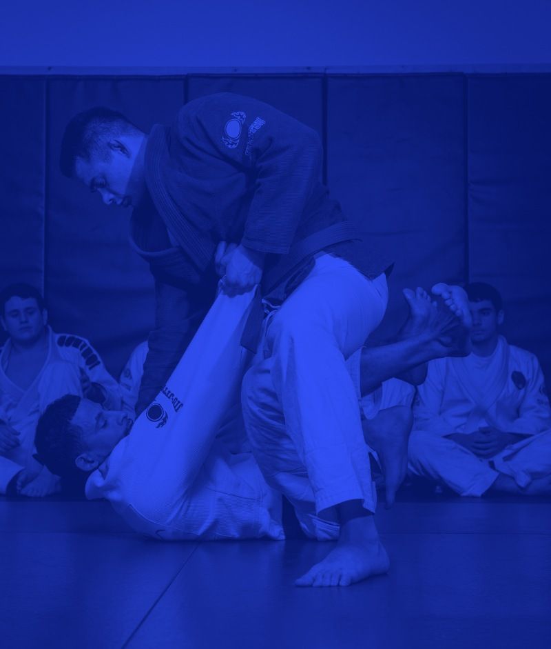 image - bjj.jpg