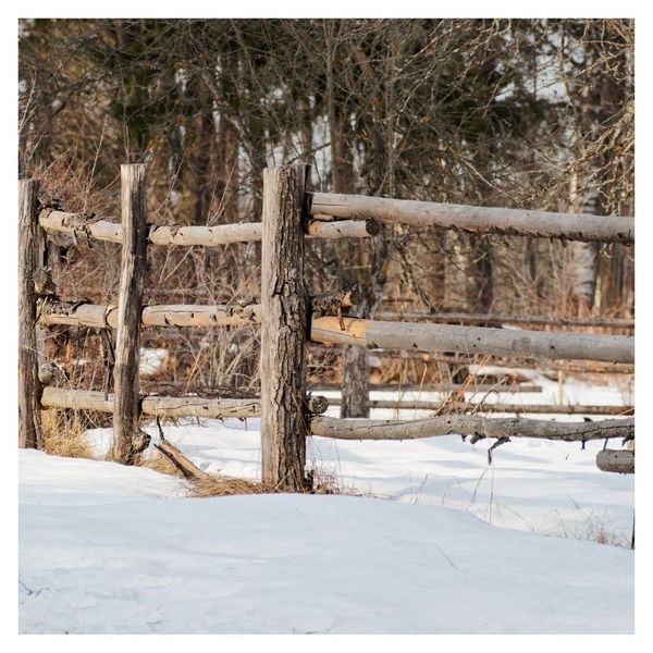 log fence