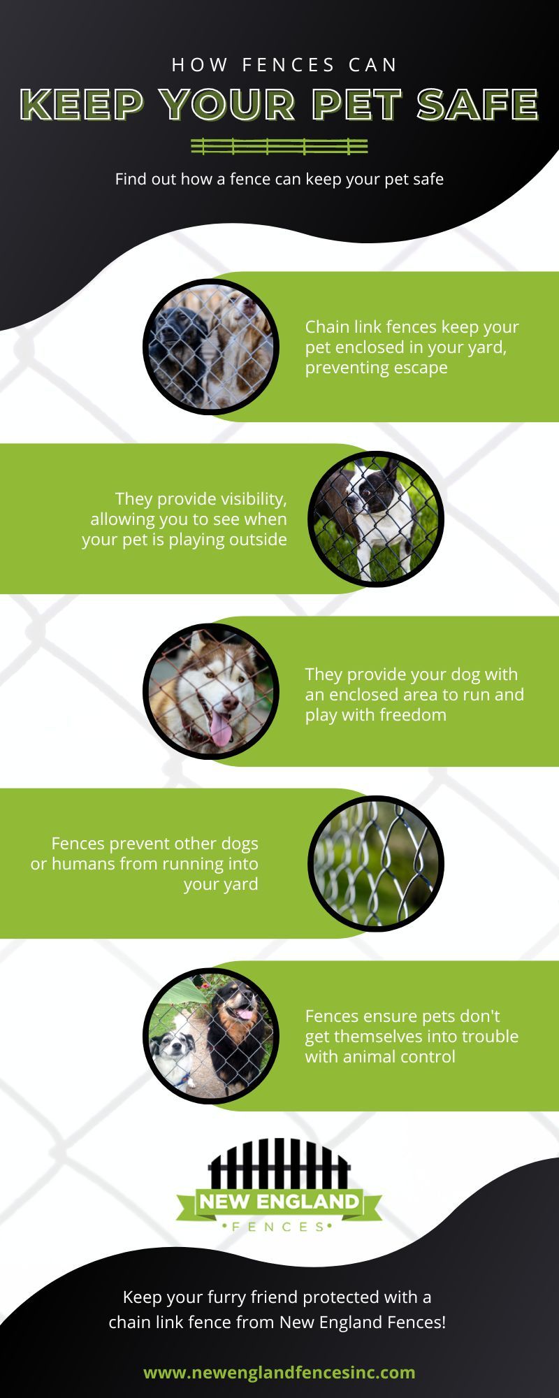 how fences can keep your pet safe infographic
