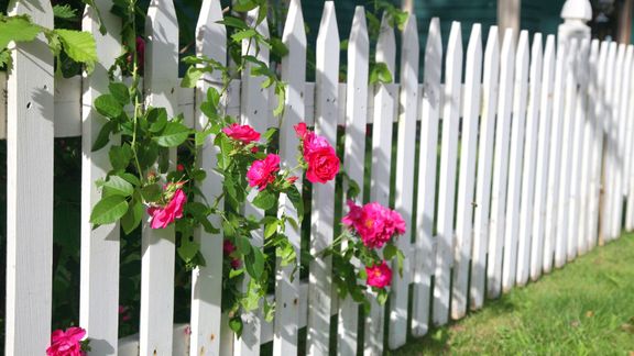 Four Creative Ways to Incorporate Fences in Your Garden.jpg