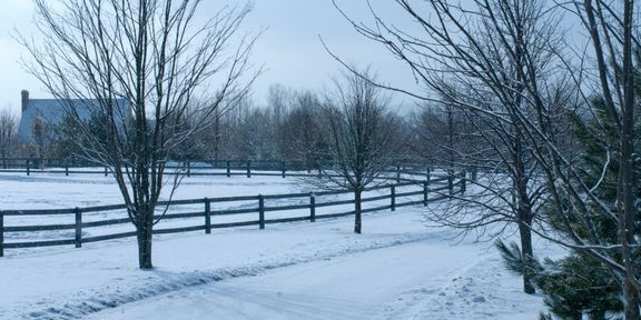 weather resistant fencing