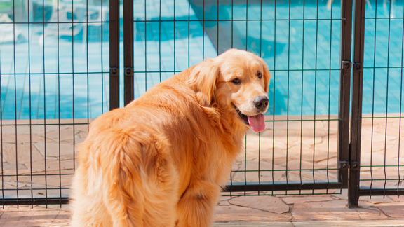 4 Types of Residential Fences We Offer - Hero.png