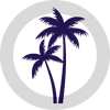 palm tree icon