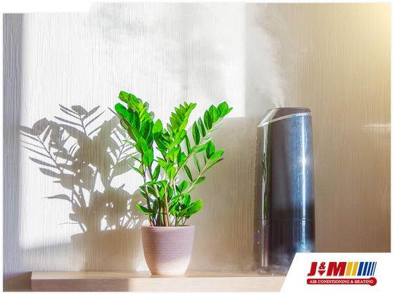 784749b02ce1e7247183f90fe585a94485f2d257-indoor-plant-with-air-purifier-air-conditioning-service.jpg