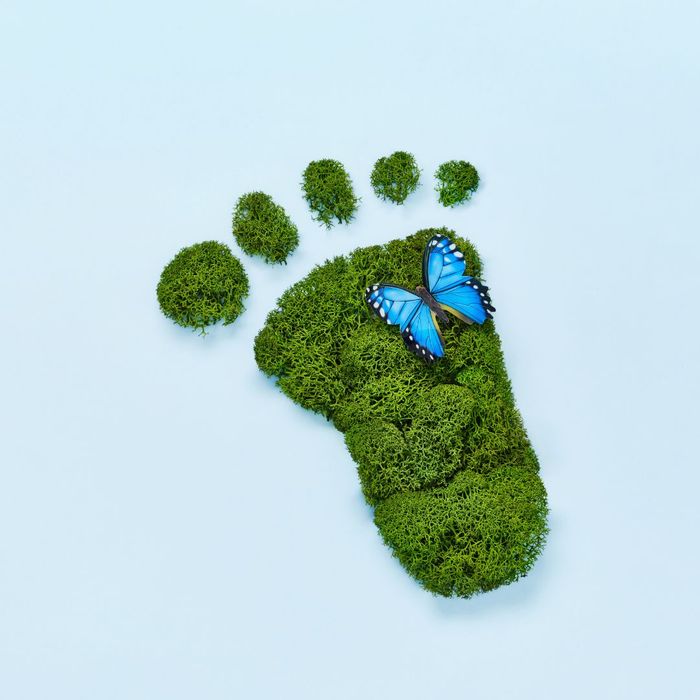 green carbon footprint 