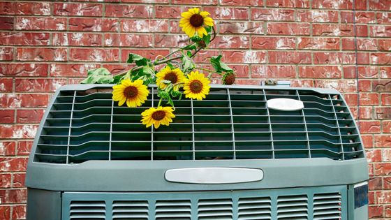 sunflowers on an AC unit