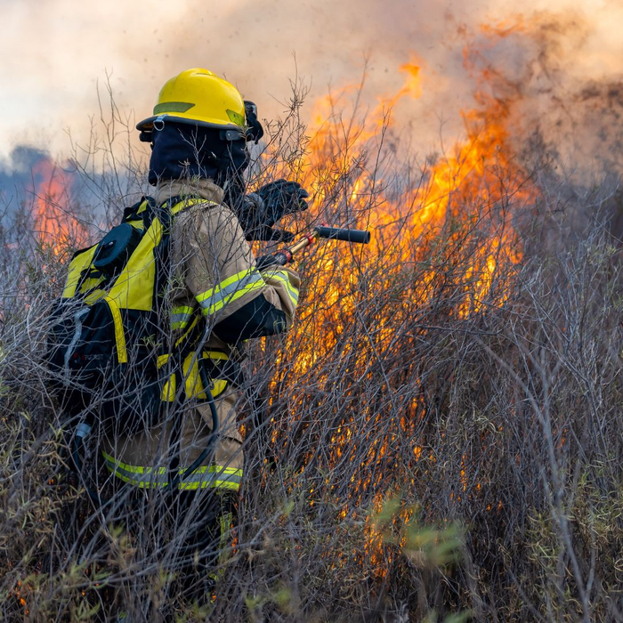 A firefighter fighting a brush fire