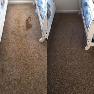 Pet Stain Before and After