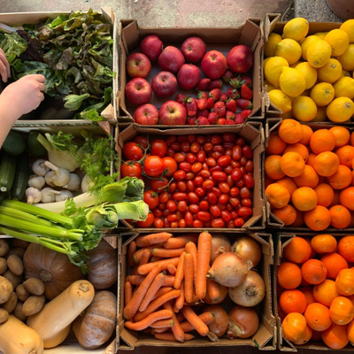 boxes with fresh vegetables boxes with fresh vegetables
