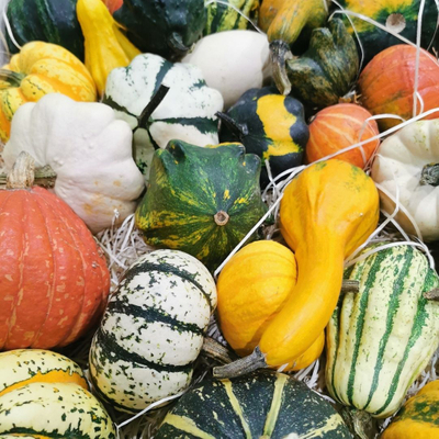 pile of gourds pile of gourds