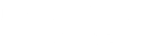 NUSTONE LOGO-02.png