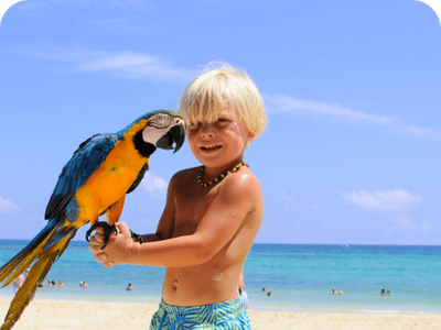A happy young boy holding a beautiful blue-and-yellow macaw on his arm at the beach, a unique family vacation memory.