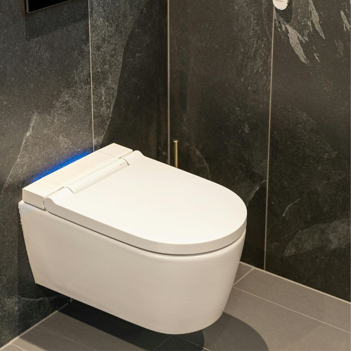 smart toilet smart toilet