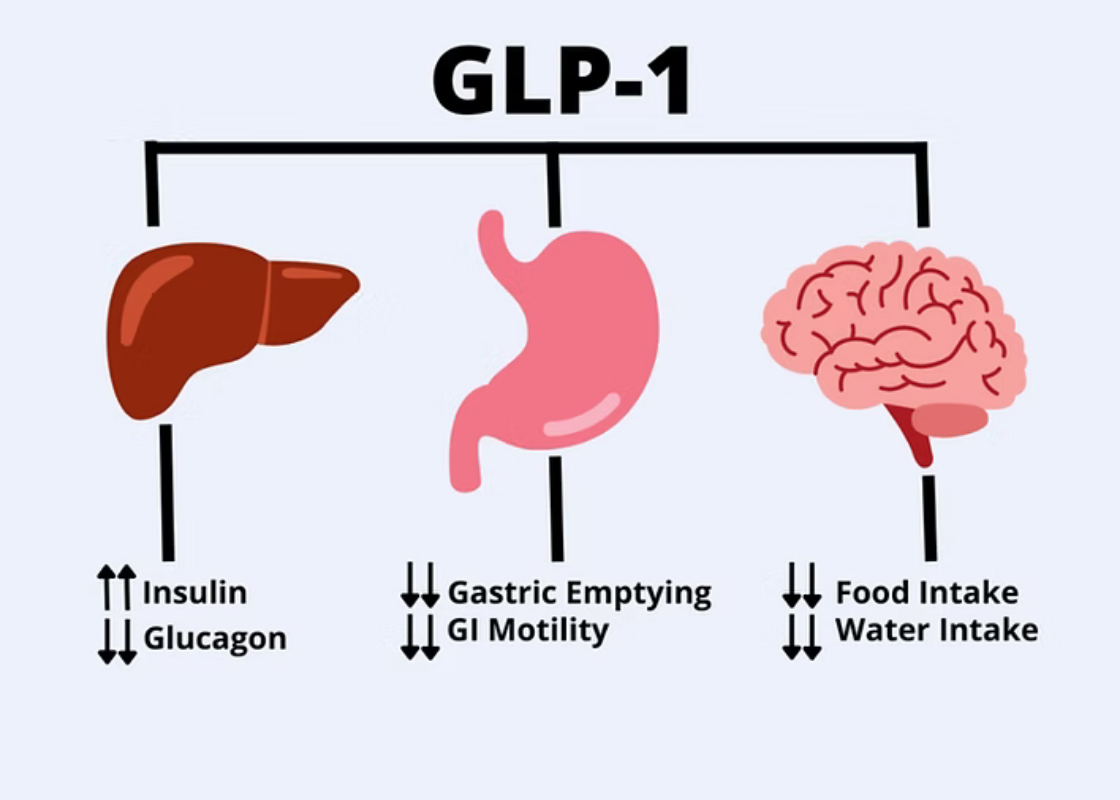 GLP-1 chart