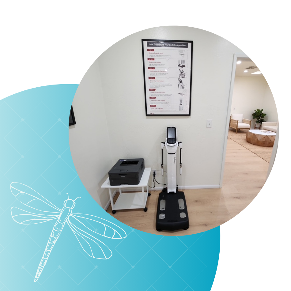 inbody analysis machine 