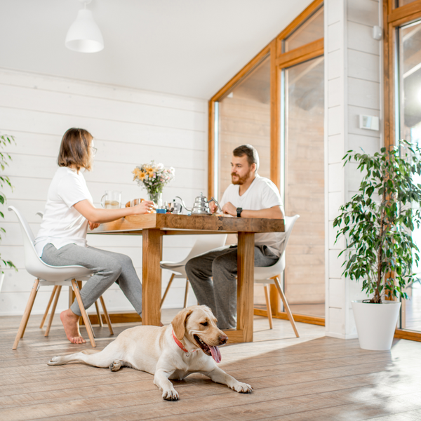 Couple eating at dining table in home while dog is relaxing on the floor