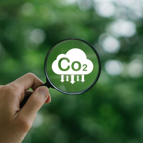 magnifying glass over reduced carbon emission symbol