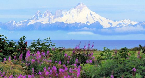 Alaska.jpg