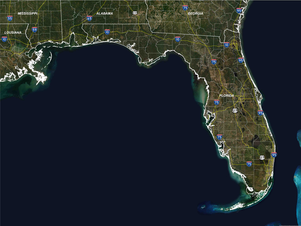 Florida_Gulf Coast Custom Mural.jpg