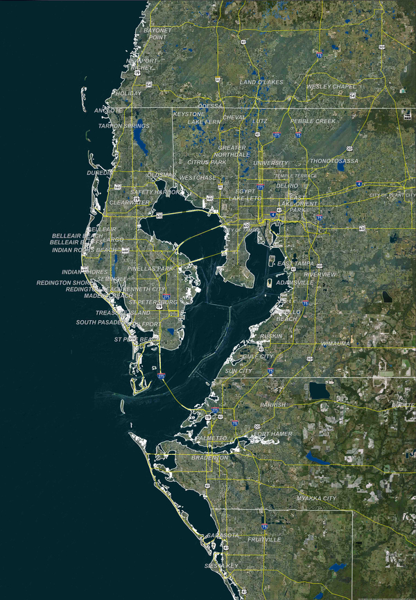 Tampa Bay_StPetersburg_Custom Mural.jpg