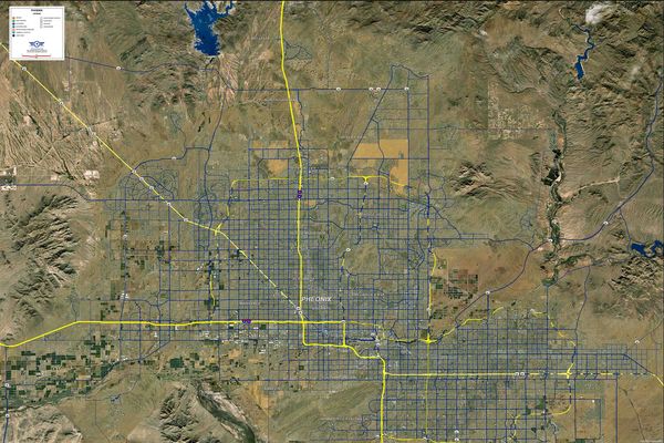 Pheonix Custom Mural.jpg