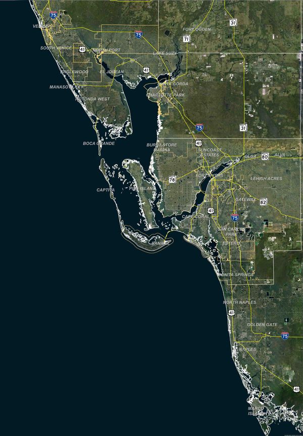 Fort Myers Custom Mural.jpg