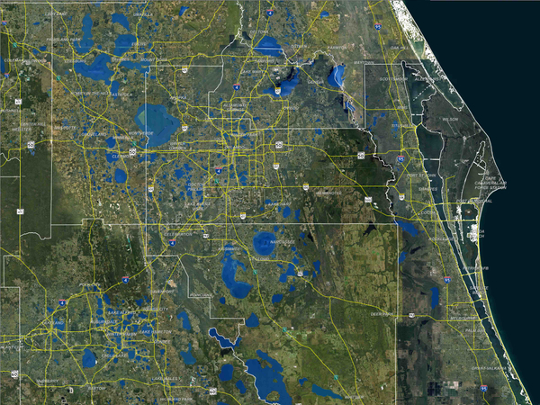 Orlando Custom Mural .jpg