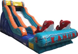 5- Wet Slides.jpg