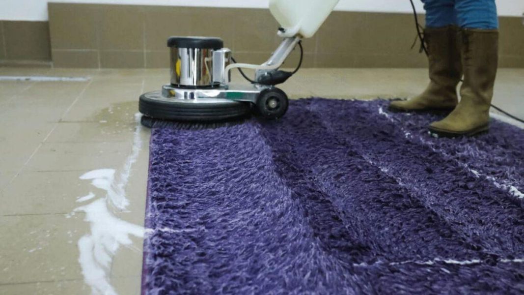 A rotary carpet cleaning machine is being used to clean a fluffy purple area rug