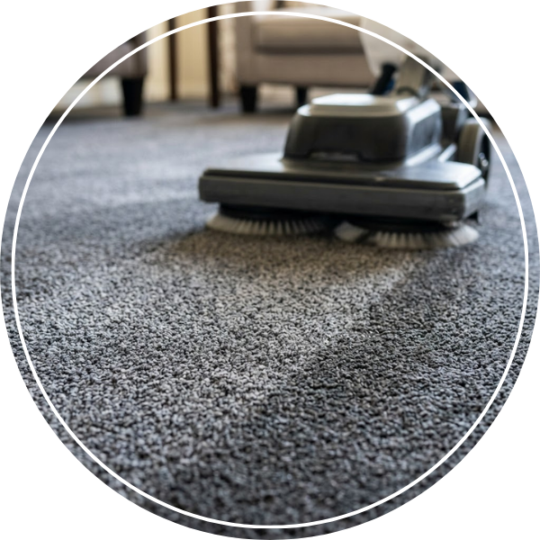 Close-up photographic view of a low moisture carpet cleaner flouishing and drying dark gray carpet fibers in a home.