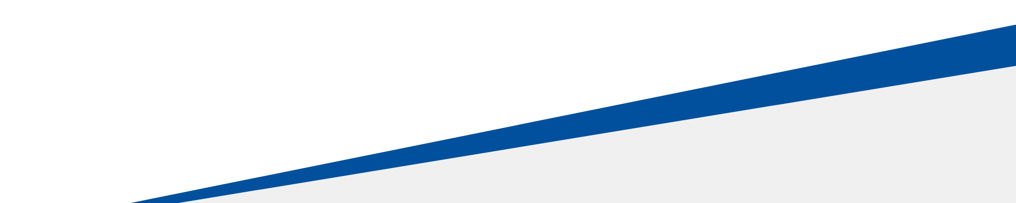 Home - Hero Border 2.png