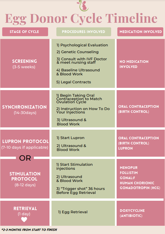 Egg Donor Timeline.png