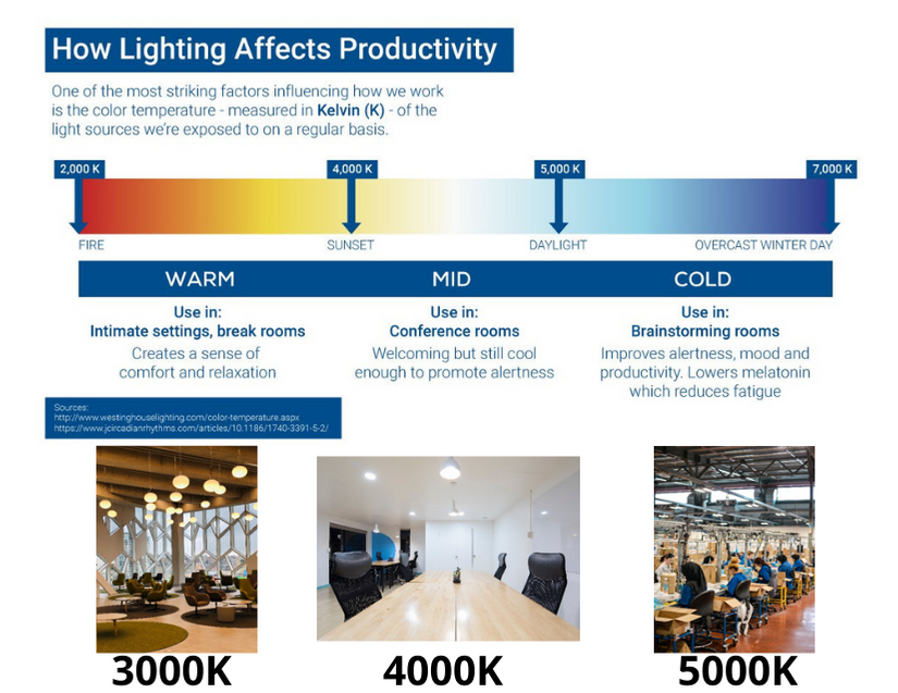 Infographic - How Lighting Affects Productivity