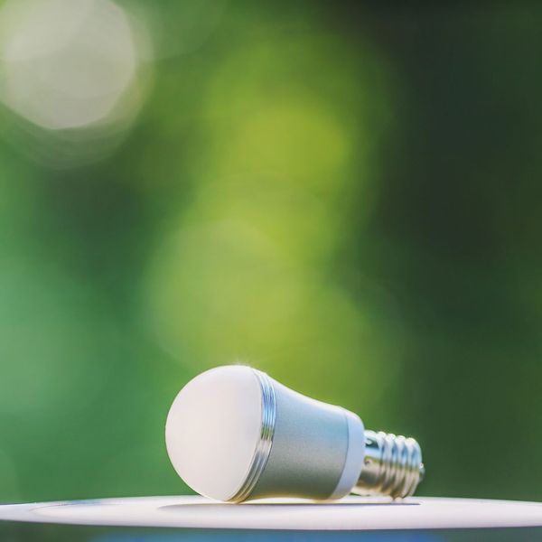 lightbulb with a green background lightbulb with a green background