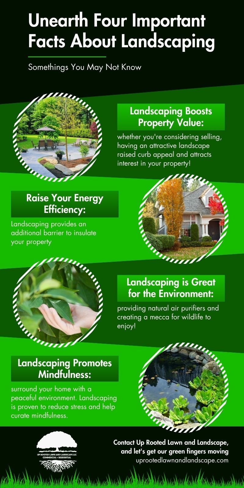 Unearth Four Important Facts About Landscaping Infographic