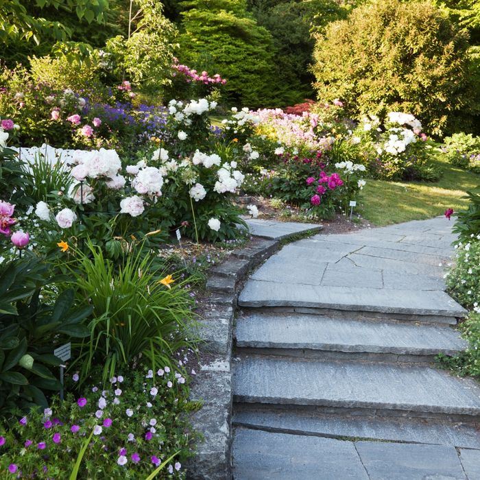 stone garden walkway