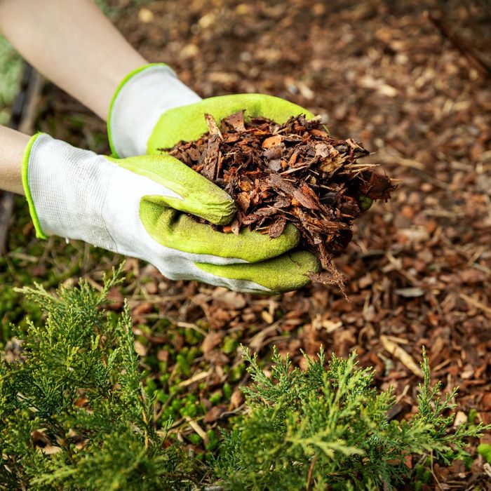 Use Maintenance-Free Mulch.jpg