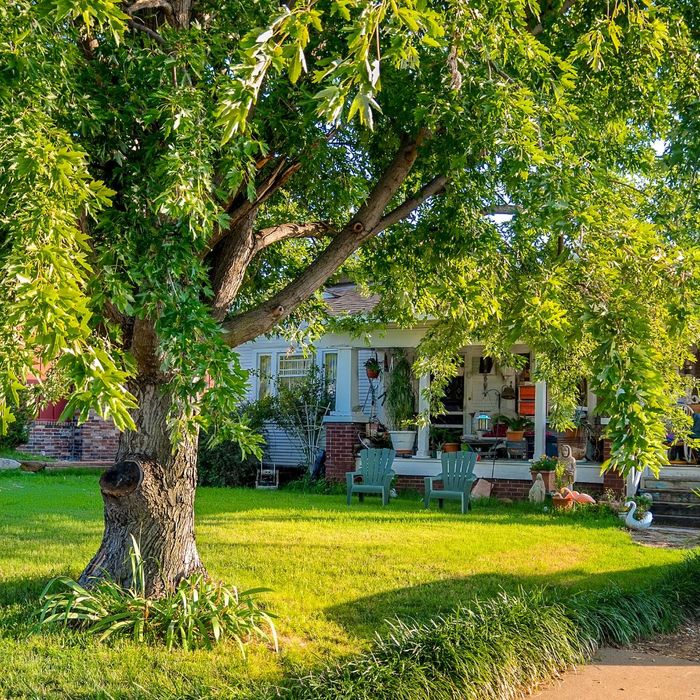 Large tree in front of a home