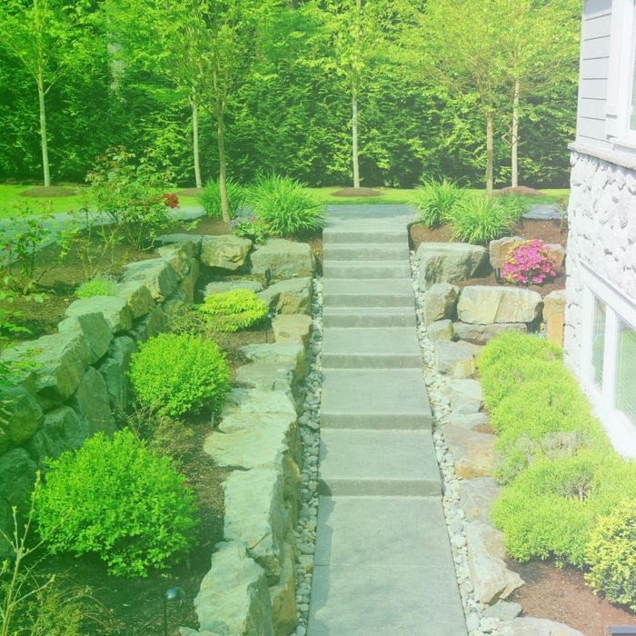 landscaped walkway