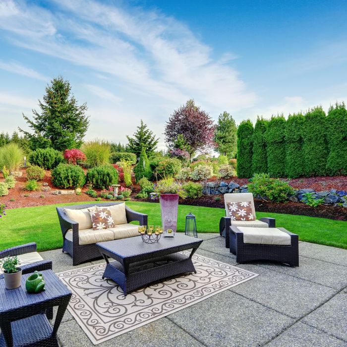 landscaping in a backyard creating privacy for a seating area