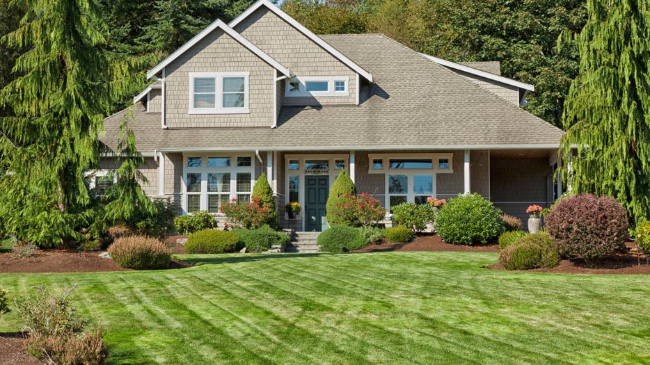 house with great landscaping