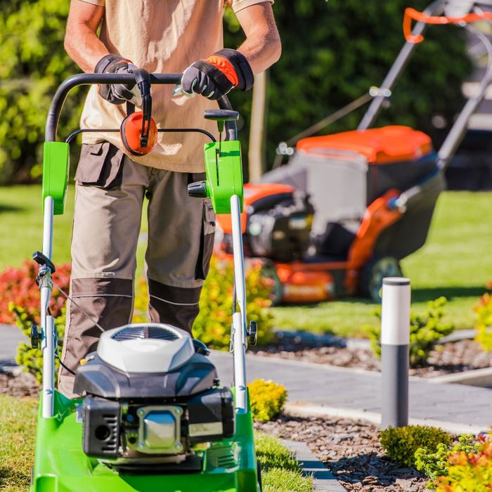 people mowing lawn