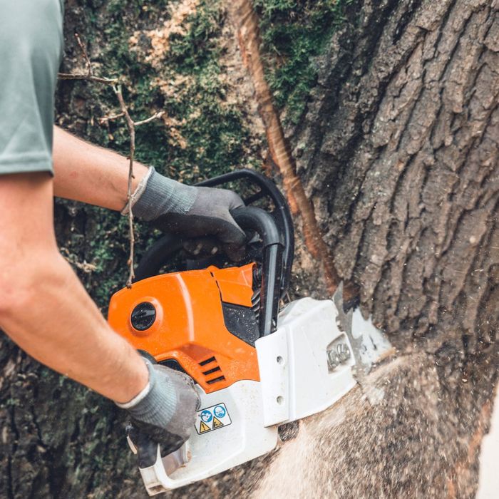 a person cutting a large tree branch with a chainsaw