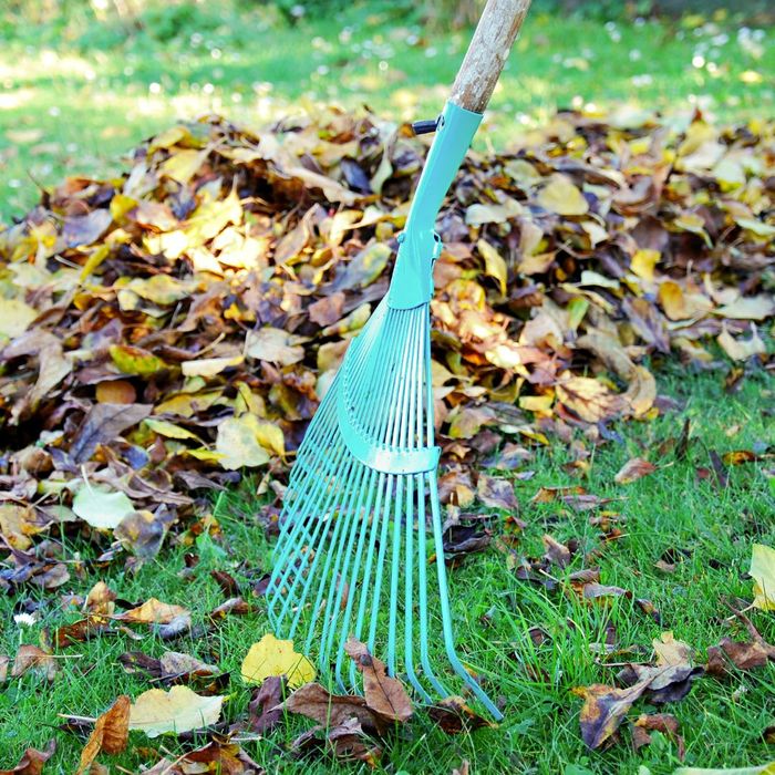 What Is The Best Time Of Year To Remove A Tree 1080x1080-image1.jpg