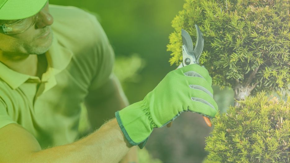 4 Questions to Ask Landscaper HERO.jpg